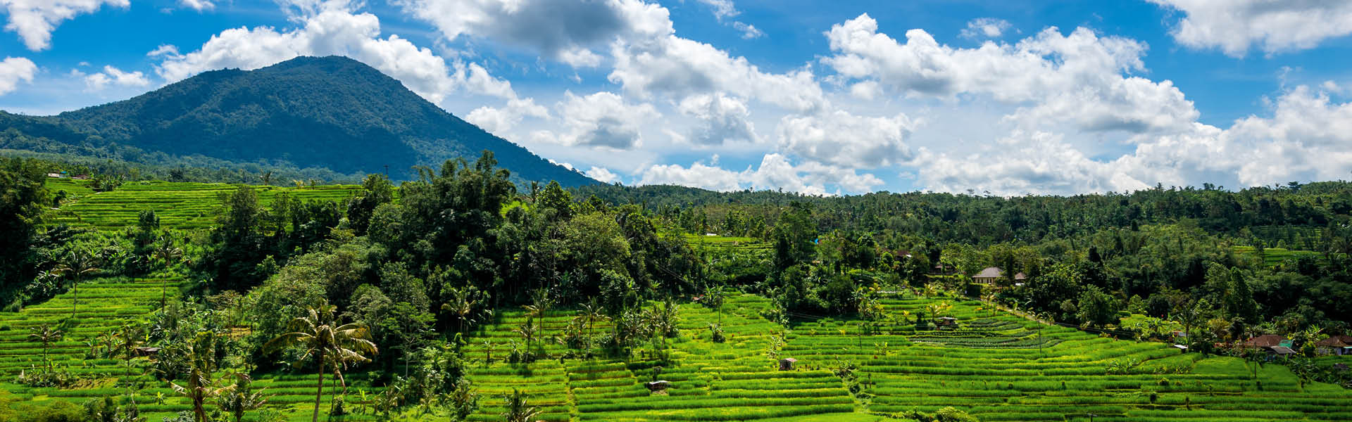 هدفون - تصویر 2